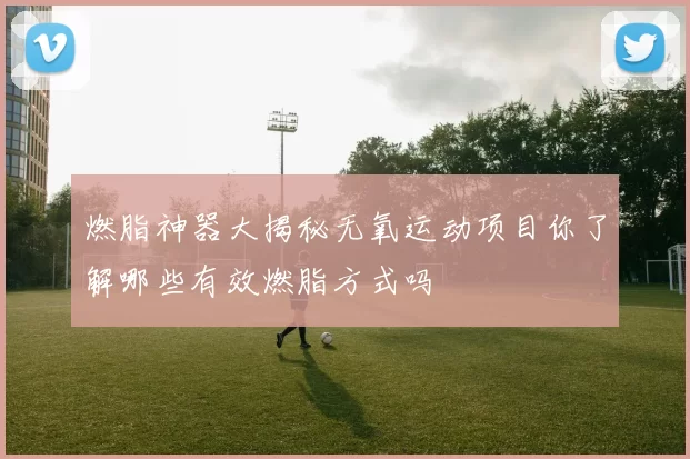 燃脂神器大揭秘无氧运动项目你了解哪些有效燃脂方式吗