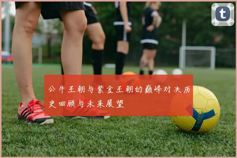 公牛王朝与紫金王朝的巅峰对决历史回顾与未来展望