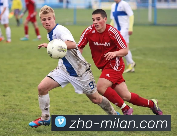 米兰官网服务体系